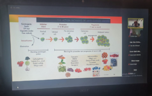 lecture_via_zoom_with_dr_walaa_sobeih_on_anti-cancer_foods